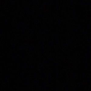 Meet your Posher, Dugan